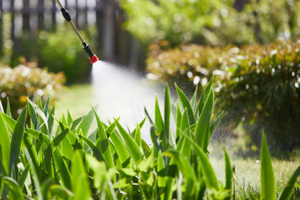 24/7 Emergency Wasp Removal experts in Jersey Village, TX