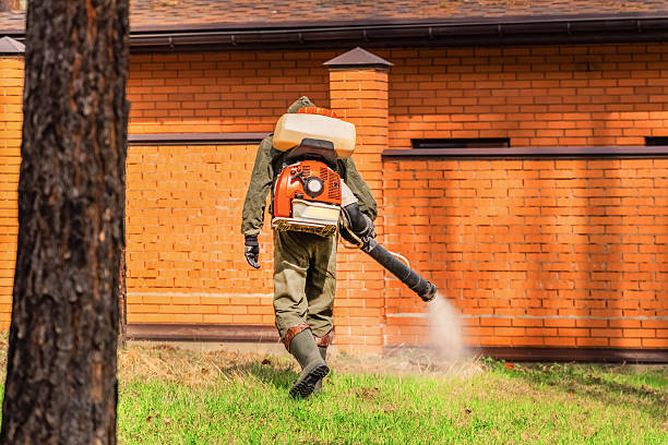 Top rated local Wasp Removal specialists in Jersey Village, TX